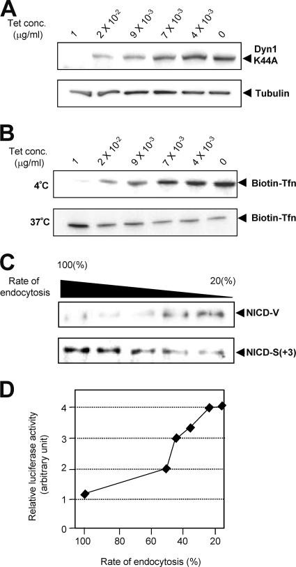 FIG. 7.