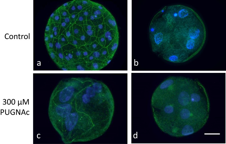 Fig. 9.