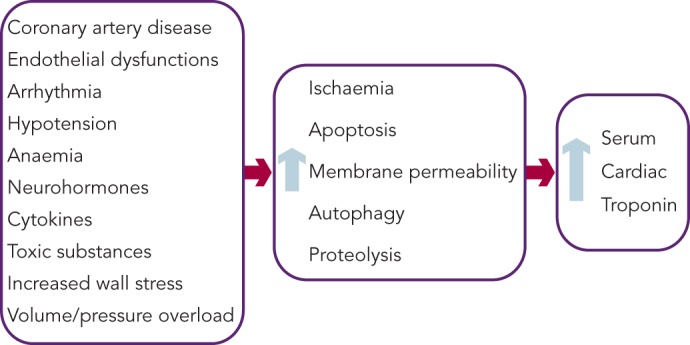 Figure 1: