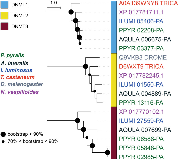 Appendix 4—figure 2.