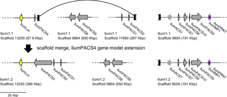 Appendix 3—figure 5.