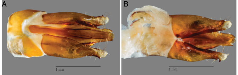 Appendix 3—figure 1.