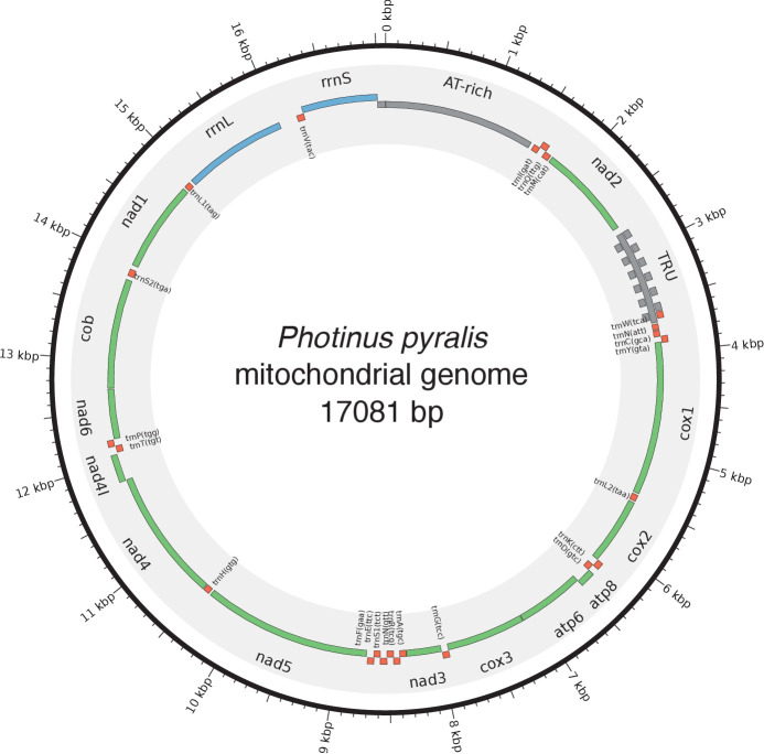 Appendix 1—figure 12.