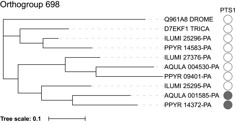 Appendix 4—figure 8.