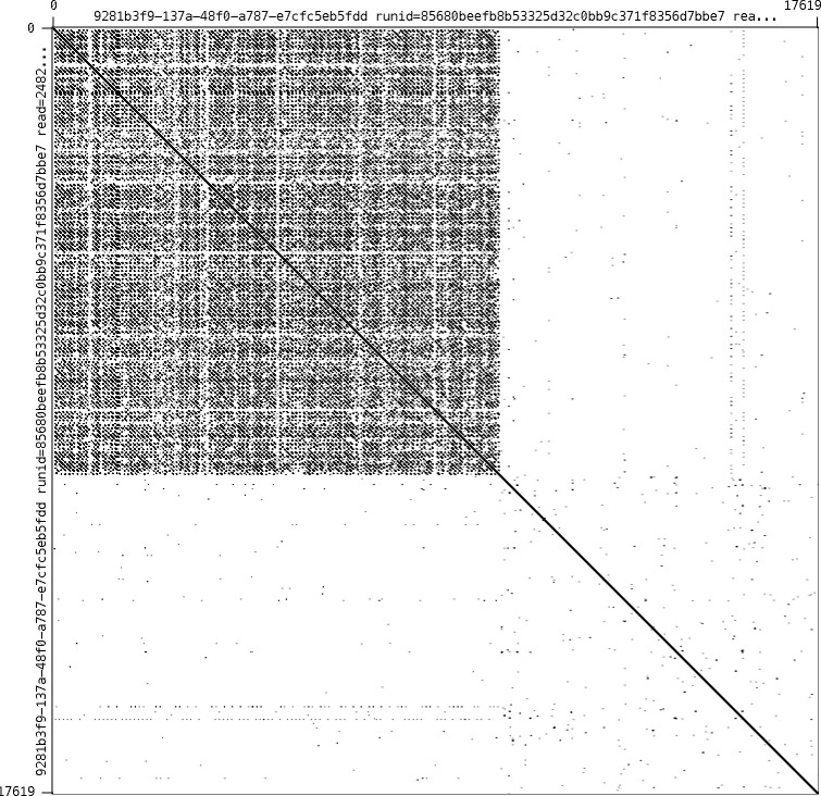 Appendix 3—figure 4.