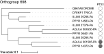 Appendix 4—figure 8.