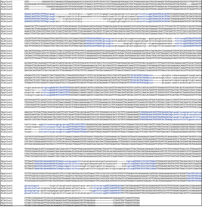 Appendix 4—figure 5.