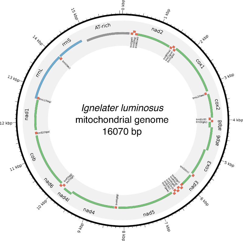 Appendix 3—figure 6.