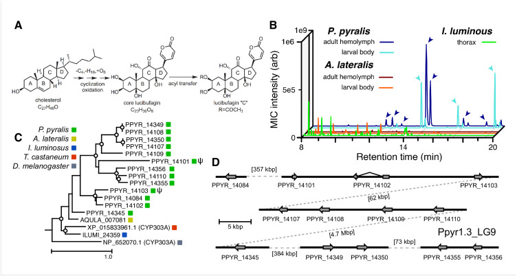 Figure 6.