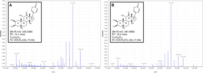 Appendix 4—figure 20.