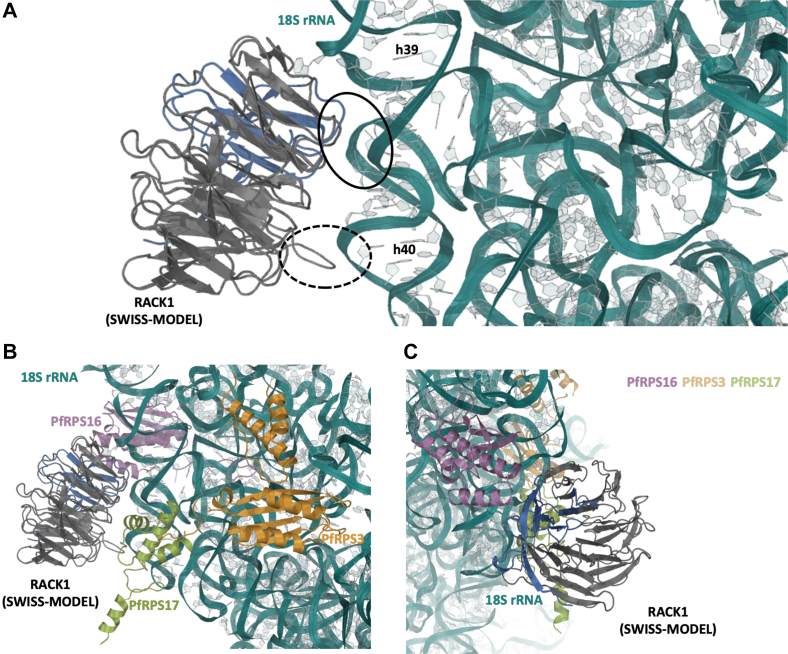 Figure 3