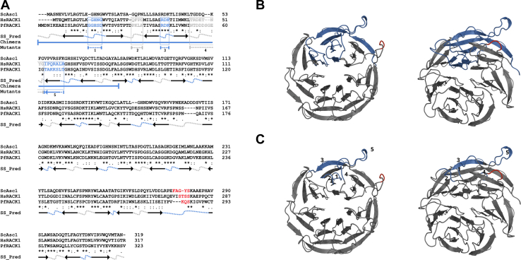 Figure 2