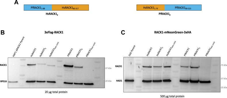 Figure 5