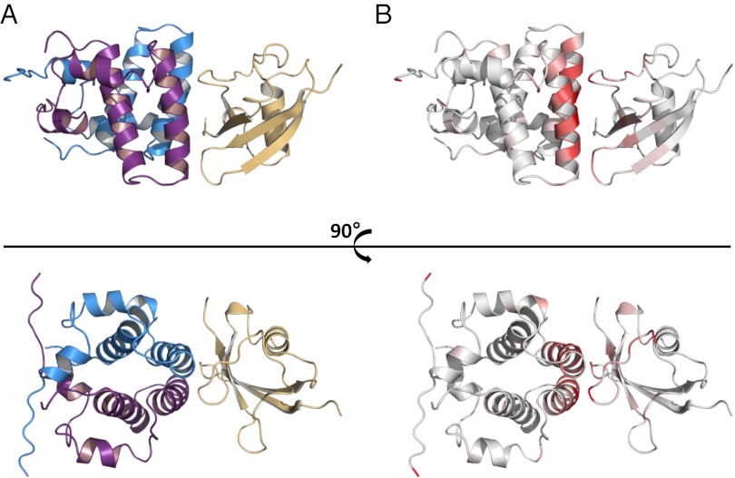 Fig. 3.