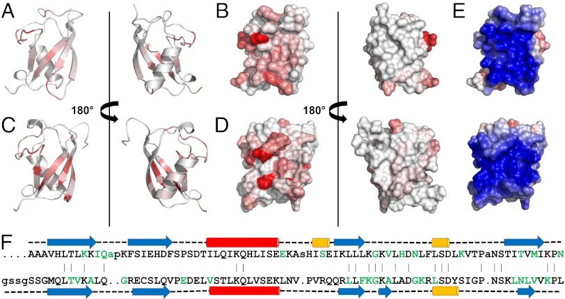 Fig. 4.