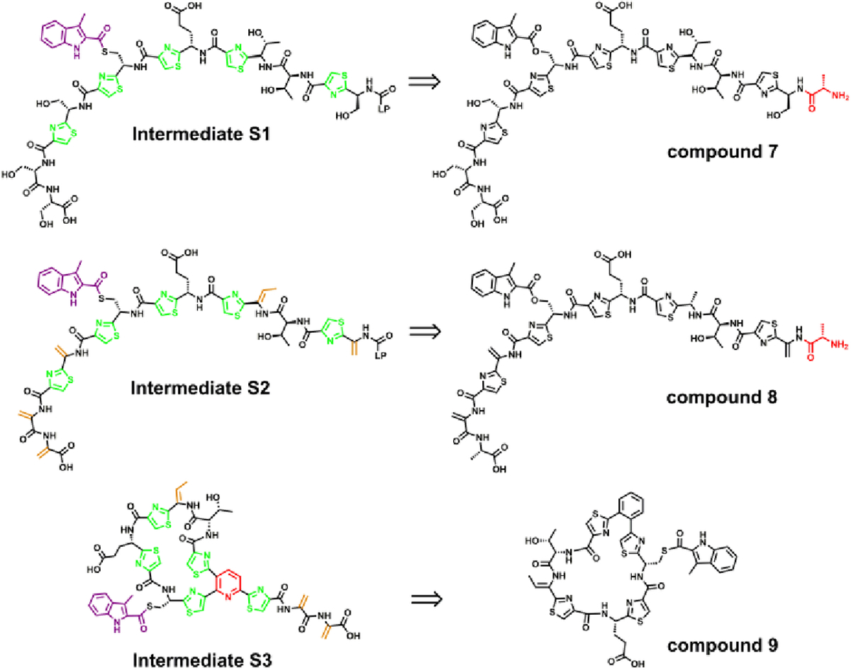 Figure 3.