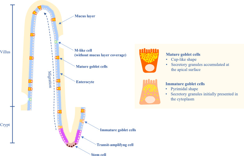 Figure 1