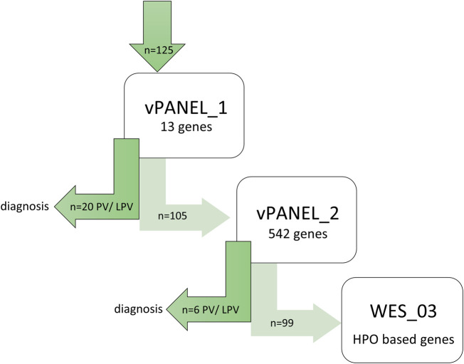 FIGURE 1