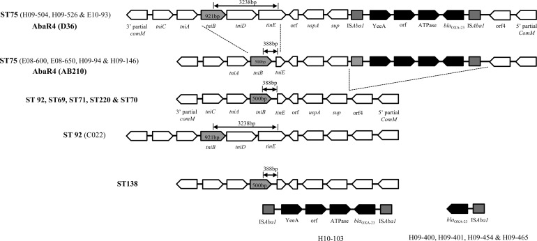 Fig 2