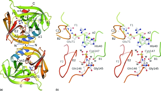 Fig. 3.