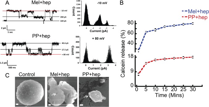 Fig 10