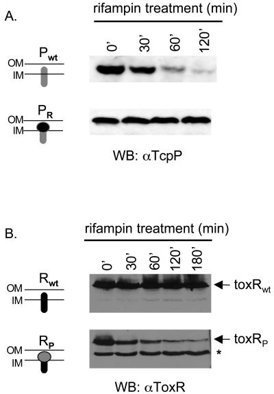 FIG. 5.