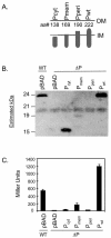 FIG. 1.