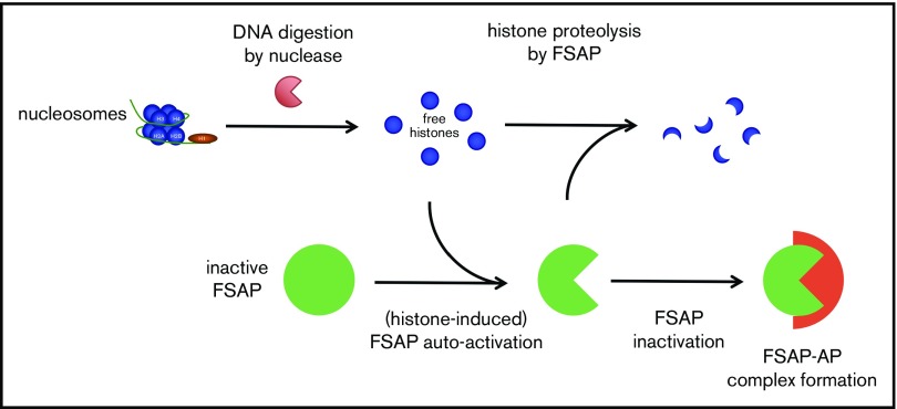 Figure 7.