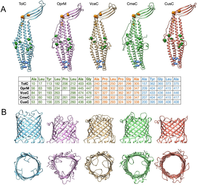 Figure 29