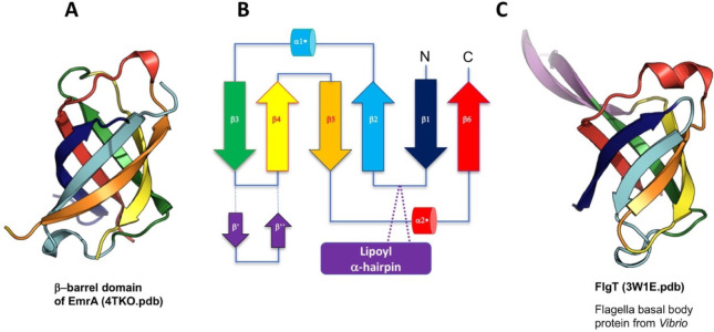 Figure 38