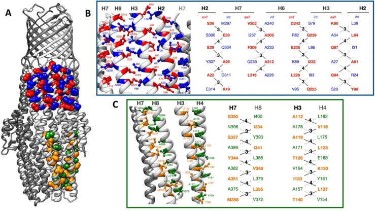 Figure 30