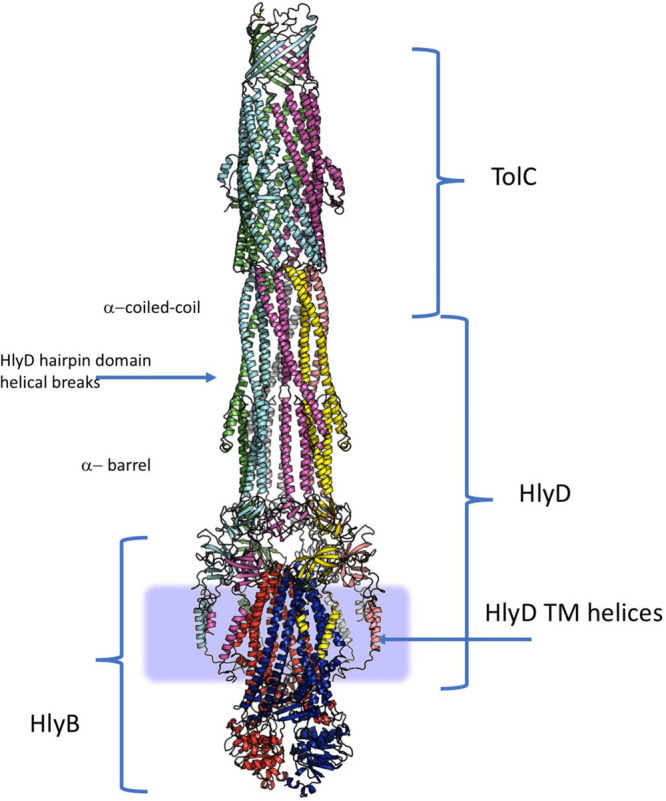 Figure 54