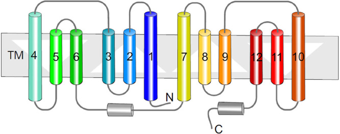 Figure 10