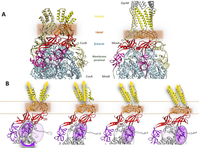 Figure 48