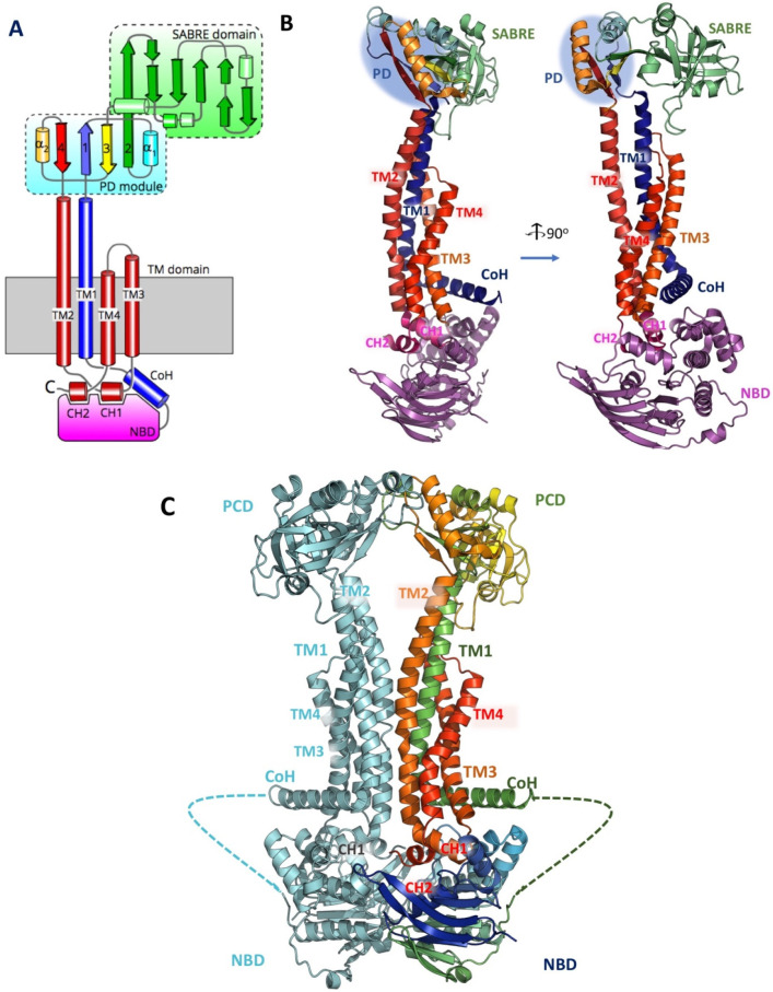 Figure 19