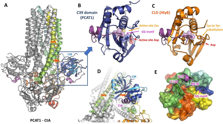 Figure 14