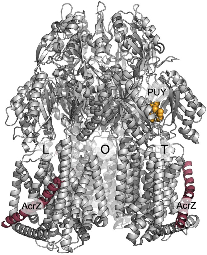 Figure 49