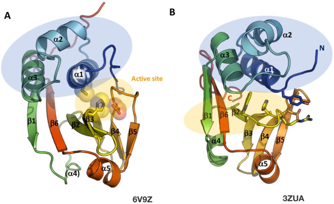 Figure 13