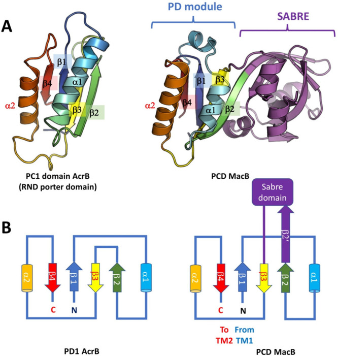 Figure 20