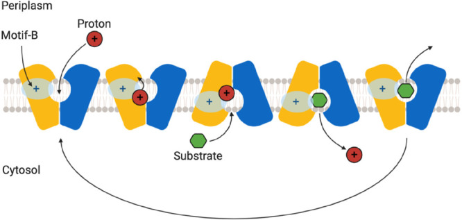 Figure 11