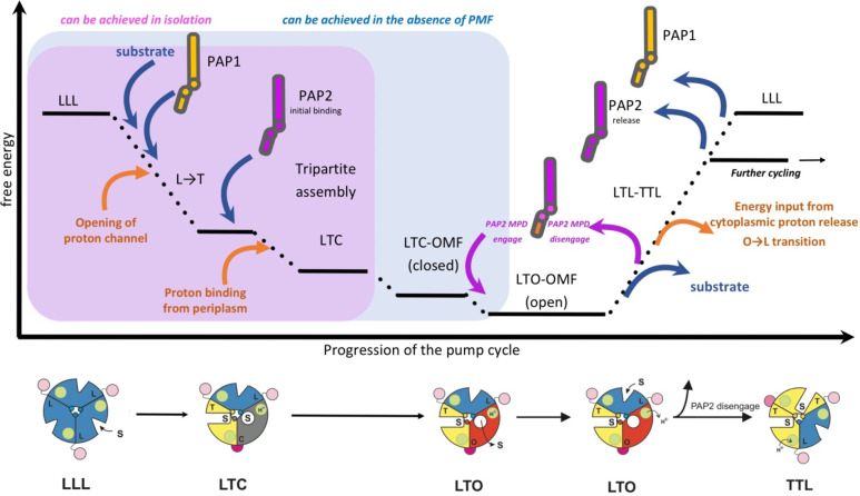 Figure 47