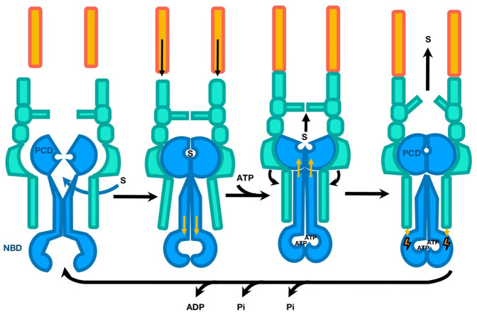 Figure 52