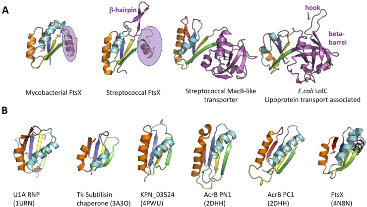 Figure 21