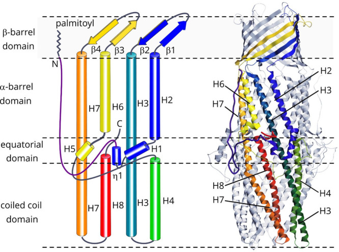 Figure 28