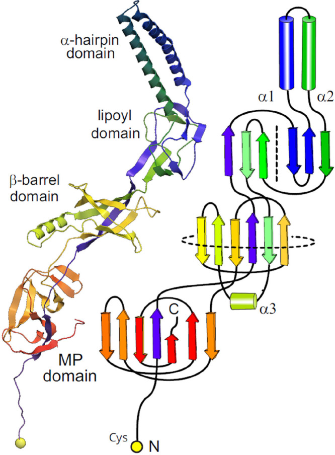 Figure 34