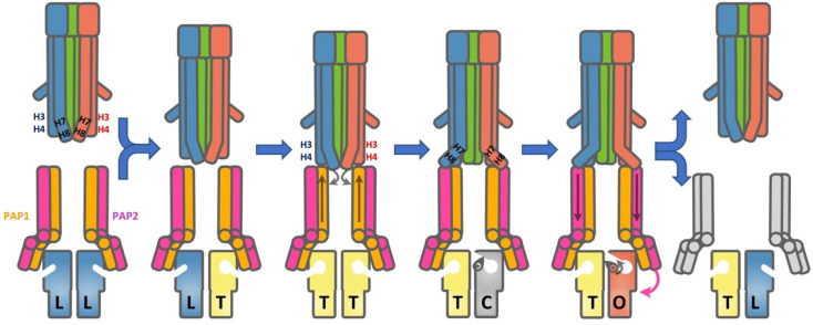 Figure 46