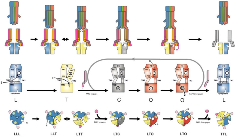 Figure 45