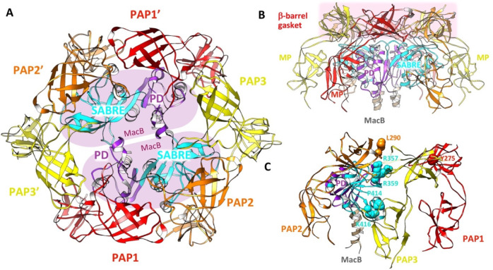 Figure 50