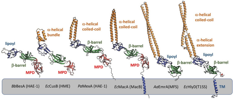 Figure 36