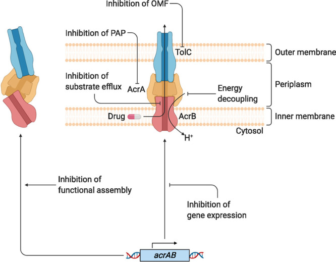 Figure 55